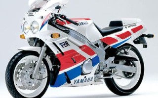 Информация по мотоциклу Yamaha FZR 600