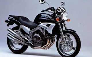 Информация по мотоциклу Yamaha FZX 250 Zeal