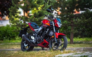 Отзыв владельца Yamaha MT