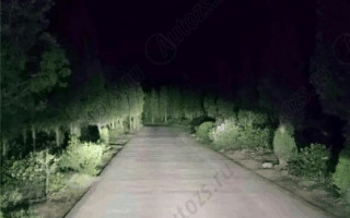 Audi RS4 Avant Nogaro selection