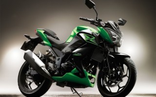 Информация по мотоциклу Kawasaki Z300